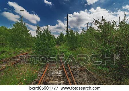 Overgrown tracks, railway depot, Lost Place, Dortmund, North Rhine-Westphalia, Germany, Europe View Large Photo Image Stock Photo - Overgrown tracks, railway depot, Lost Place, Dortmund, North Rhine-Westphalia, Germany, Europe. Fotosearch