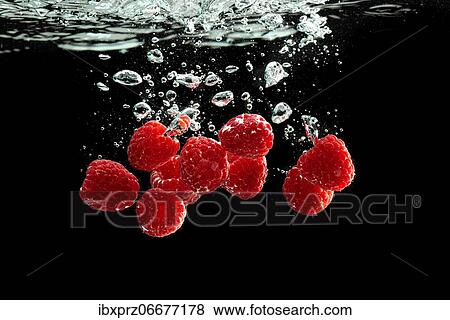 Raspberries fall into the water, black background View Large Photo Image Stock Photo - Raspberries fall into the water, black background. Fotosearch