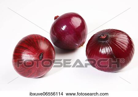 Red onions (Allium cepa), studio shot, Schleswig-Holstein, Germany, Europe View Large Photo Image Picture - Red onions (Allium cepa), studio shot, Schleswig-Holstein, Germany, Europe. Fotosearch