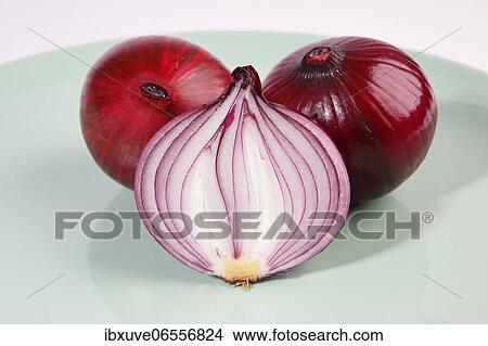 Red onions (Allium cepa), studio shot, Schleswig-Holstein, Germany, Europe View Large Photo Image Picture - Red onions (Allium cepa), studio shot, Schleswig-Holstein, Germany, Europe. Fotosearch