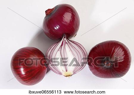 Red onions (Allium cepa), studio shot, Schleswig-Holstein, Germany, Europe View Large Photo Image Stock Image - Red onions (Allium cepa), studio shot, Schleswig-Holstein, Germany, Europe. Fotosearch