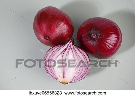 Stock Image - Red onions (Allium cepa), studio shot, Schleswig-Holstein, Germany, Europe. Fotosearch