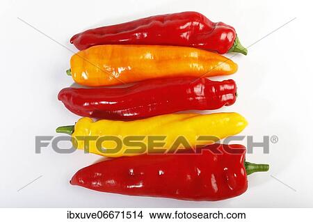 Red, yellow and orange pointed peppers (Capsicum annuum), vegetables, studio photo, Germany, Europe View Large Photo Image Picture - Red, yellow and orange pointed peppers (Capsicum annuum), vegetables, studio photo, Germany, Europe. Fotosearch