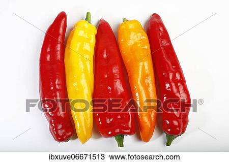 Red, yellow and orange pointed peppers (Capsicum annuum), vegetables, studio photo, Germany, Europe View Large Photo Image Stock Image - Red, yellow and orange pointed peppers (Capsicum annuum), vegetables, studio photo, Germany, Europe. Fotosearch