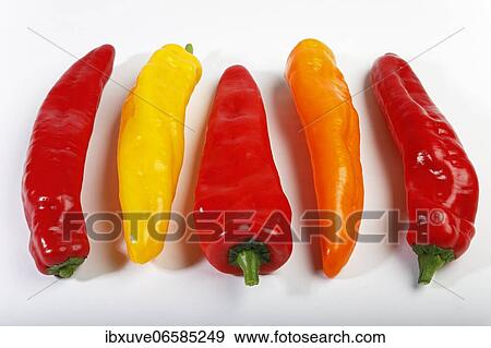 Red, yellow and orange pointed peppers (Capsicum annuum), vegetables, studio photo, Germany, Europe View Large Photo Image Stock Photo - Red, yellow and orange pointed peppers (Capsicum annuum), vegetables, studio photo, Germany, Europe. Fotosearch