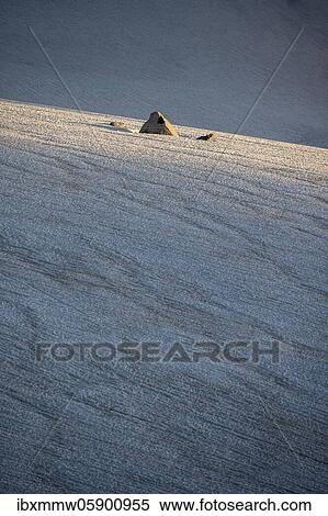 Rocks sticking out of the snow, Glacier du Tour, Glaciers, High Alpine landscape, Chamonix, Haute-Savoie, France, Europe View Large Photo Image Stock Photography - Rocks sticking out of the snow, Glacier du Tour, Glaciers, High Alpine landscape, Chamonix, Haute-Savoie, France, Europe. Fotosearch