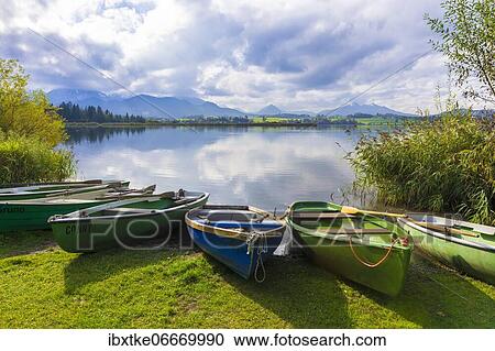 Rowing boats at the Forggensee, Füssen, Ostallgäu, Allgäu, Bavaria, Germany, Europe View Large Photo Image Stock Image - Rowing boats at the Forggensee, Füssen, Ostallgäu, Allgäu, Bavaria, Germany, Europe. Fotosearch
