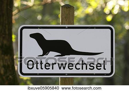Signpost Otterwechsel, Otter (Lutra lutra) change over a road or a path, Wildpark Eekholt, Schleswig-Holstein, Germany, Europe View Large Photo Image Stock Image - Signpost Otterwechsel, Otter (Lutra lutra) change over a road or a path, Wildpark Eekholt, Schleswig-Holstein, Germany, Europe. Fotosearch