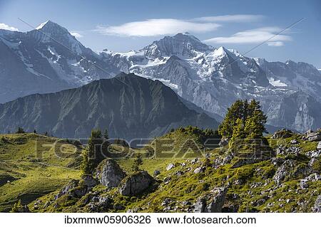 Snow-covered mountain peaks, Mönch, Jungfraujoch and Jungfrau, Jungfrau region, Grindelwald, Canton Bern, Switzerland, Europe View Large Photo Image Stock Photograph - Snow-covered mountain peaks, Mönch, Jungfraujoch and Jungfrau, Jungfrau region, Grindelwald, Canton Bern, Switzerland, Europe. Fotosearch