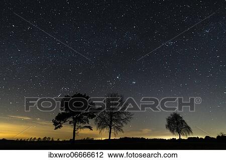Starry sky over trees, night, star, Oldenburger Münsterland, Goldenstedt, Lower Saxony, Germany, Europe View Large Photo Image Stock Image - Starry sky over trees, night, star, Oldenburger Münsterland, Goldenstedt, Lower Saxony, Germany, Europe. Fotosearch
