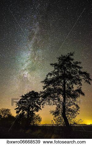 Stars in the sky above a tree, Goldenstedter Moor, night, Milky Way, Germany, Europe View Large Photo Image Stock Photo - Stars in the sky above a tree, Goldenstedter Moor, night, Milky Way, Germany, Europe. Fotosearch