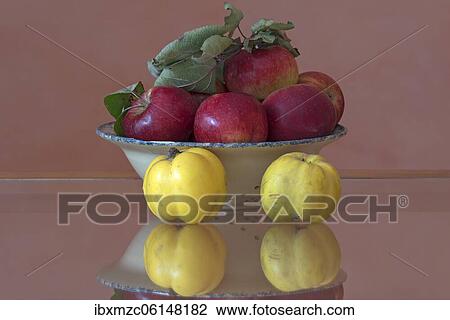 Still life, red apples and quinces in a bowl, Bavaria, Germany, Europe View Large Photo Image Stock Image - Still life, red apples and quinces in a bowl, Bavaria, Germany, Europe. Fotosearch