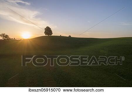 Sunset with lime tree on Drumlinhügel, drone picture, Menzingen, Canton Zug, Switzerland, Europe View Large Photo Image Stock Image - Sunset with lime tree on Drumlinhügel, drone picture, Menzingen, Canton Zug, Switzerland, Europe. Fotosearch