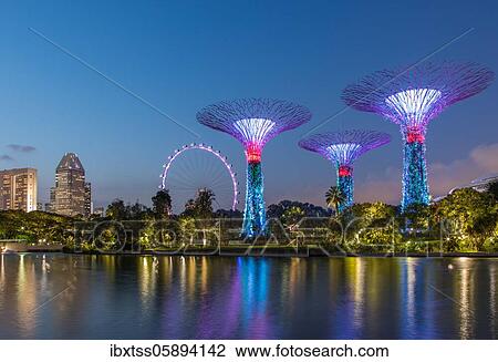 Stock Image - Supertrees at night, Supertree Grove, Gardens by the Bay, Singapore, Asia. Fotosearch