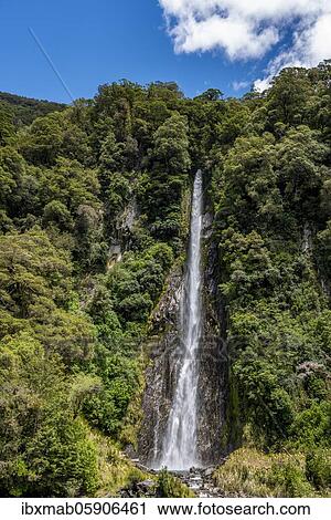 Thunder Creek Waterfall, Makarora River, Wanaka, West Coast, South Island, New Zealand, Oceania View Large Photo Image Stock Image - Thunder Creek Waterfall, Makarora River, Wanaka, West Coast, South Island, New Zealand, Oceania. Fotosearch