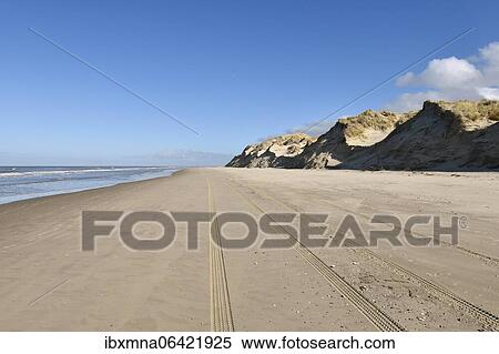 Tracks in the sand, beach and dunes, Borkum Island, East Frisian Island, East Frisia, Lower Saxony, Germany, Europe View Large Photo Image Stock Photography - Tracks in the sand, beach and dunes, Borkum Island, East Frisian Island, East Frisia, Lower Saxony, Germany, Europe. Fotosearch