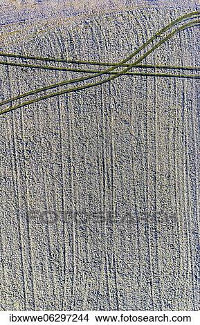 Picture - Tracks on a field covered with hoarfrost, structure, drone shot, aerial view, Mondseeland, Salzkammergut, Upper Austria, Austria, Europe. Fotosearch