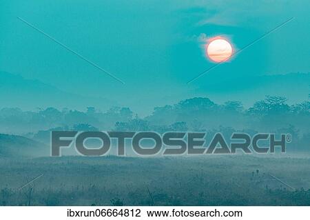 Very hazy sunrise over the Unesco world heritage site, Kaziranga National Park, Assam, India, Asia View Large Photo Image Stock Image - Very hazy sunrise over the Unesco world heritage site, Kaziranga National Park, Assam, India, Asia. Fotosearch