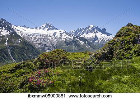 Stock Image - View from Aiguillette de Poisettes, left Aiguille de Chardonnet, right Aiguille Verte, Chamonix, Haute-Savoie, France, Europe. Fotosearch