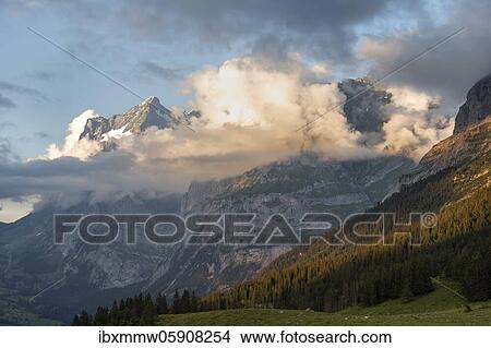 View from Pfingstegg, clouds around the gifel of Chrinnenhorn and Wetterhorn, evening light, Jungfrau region, Grindelwald, Bern, Switzerland, Europe View Large Photo Image Picture - View from Pfingstegg, clouds around the gifel of Chrinnenhorn and Wetterhorn, evening light, Jungfrau region, Grindelwald, Bern, Switzerland, Europe. Fotosearch