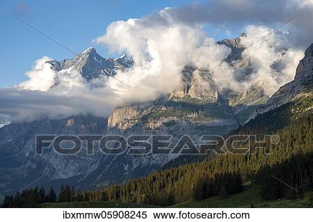 Stock Photography - View from Pfingstegg, clouds around the gifel of Chrinnenhorn and Wetterhorn, Jungfrau region, Grindelwald, Bern, Switzerland, Europe. Fotosearch