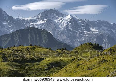View from Schynige Platte, mountain top in the back, Jungfrau region, Grindelwald, Canton Bern, Switzerland, Europe View Large Photo Image Stock Image - View from Schynige Platte, mountain top in the back, Jungfrau region, Grindelwald, Canton Bern, Switzerland, Europe. Fotosearch