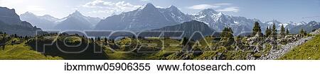 View from Schynige Platte, snow covered mountain peaks, Eiger, Mönch, Jungfraujoch and Jungfrau, Jungfrau Region, Grindelwald, Canton Bern, Switzerland, Europe View Large Photo Image Stock Photography - View from Schynige Platte, snow covered mountain peaks, Eiger, Mönch, Jungfraujoch and Jungfrau, Jungfrau Region, Grindelwald, Canton Bern, Switzerland, Europe. Fotosearch