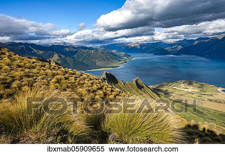 Stock Photography - View of Lake Hawea, lake and mountain landscape, view from Isthmus Peak, Otago, South Island, New Zealand, Oceania. Fotosearch