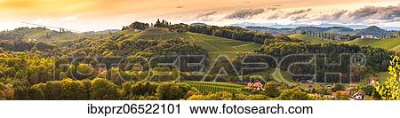 Vineyards panorama autumn season, Gamliz, Austria, Europe View Large Photo Image Stock Image - Vineyards panorama autumn season, Gamliz, Austria, Europe. Fotosearch