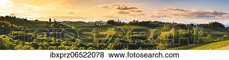 Vineyards panorama autumn season, Gamliz, Austria, Europe View Large Photo Image Stock Photo - Vineyards panorama autumn season, Gamliz, Austria, Europe. Fotosearch