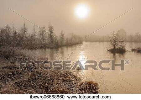 Stock Image - Winter in misty moor, frost, winter, cold, Goldenstedter Moor, Germany, Europe. Fotosearch
