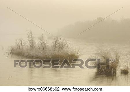 Winter in misty moor, frost, winter, cold, Goldenstedter Moor, Germany, Europe View Large Photo Image Stock Image - Winter in misty moor, frost, winter, cold, Goldenstedter Moor, Germany, Europe. Fotosearch