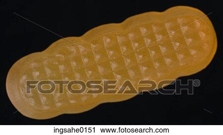 Stock Image - candy 40. Fotosearch