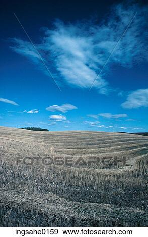 Crop field and sky View Large Photo Image Stock Photo - Crop field and sky . Fotosearch