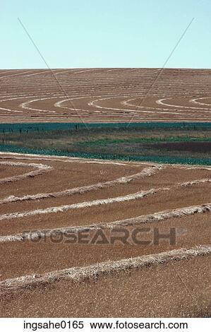 Crop field View Large Photo Image Stock Photography - Crop field . Fotosearch