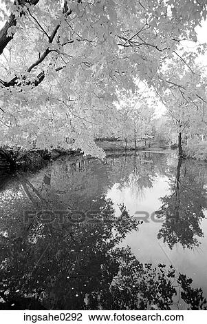 Fall landscape with pond View Large Photo Image Stock Image - Fall landscape with pond . Fotosearch