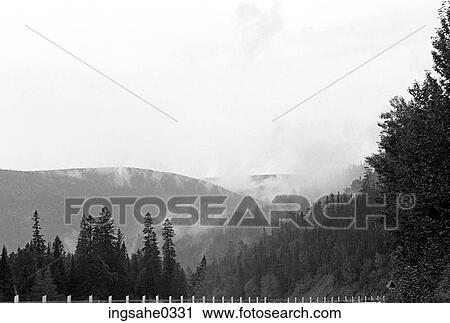 Forest with mist View Large Photo Image Stock Image - Forest with mist . Fotosearch