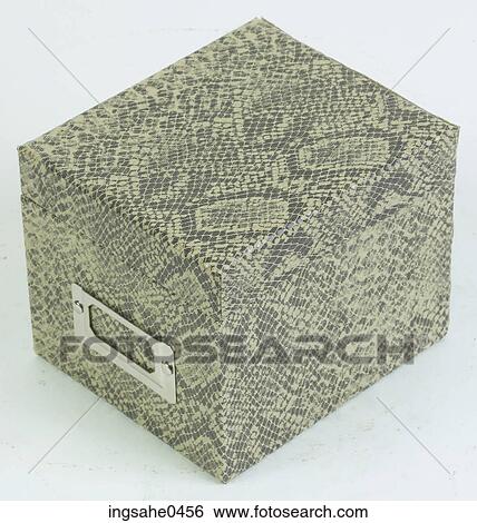 Green snakeskin storage box L1 View Large Photo Image Stock Photograph - Green snakeskin storage box L1. Fotosearch