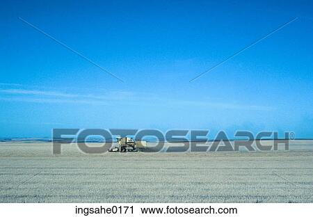 Harvester on crop field View Large Photo Image Stock Image - Harvester on crop field . Fotosearch