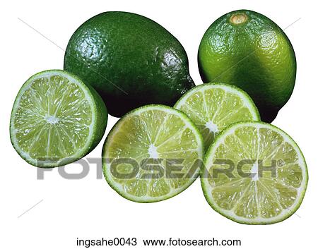 limes 2 View Large Photo Image Stock Image - limes 2. Fotosearch