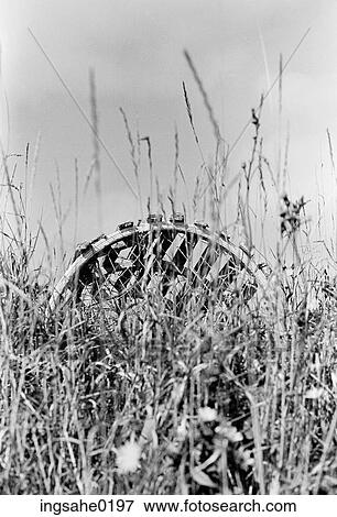 Lobster traps sitting in wildflowers View Large Photo Image Stock Photo - Lobster traps sitting in wildflowers . Fotosearch