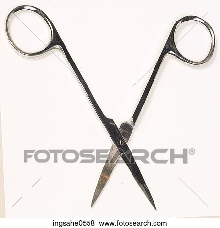 Metal nail scissors L1 View Large Photo Image Stock Photo - Metal nail scissors L1. Fotosearch