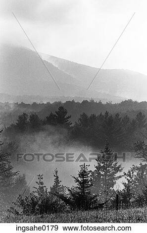 Mist over forest and mountains View Large Photo Image Stock Photo - Mist over forest and mountains . Fotosearch