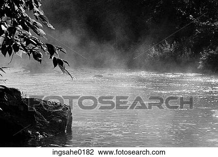 Mist over stream in forest View Large Photo Image Stock Image - Mist over stream in forest . Fotosearch