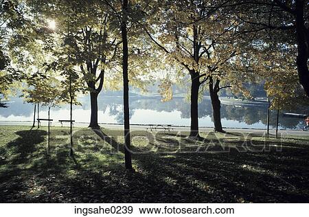 Park with lake and forest View Large Photo Image Stock Photo - Park with lake and forest . Fotosearch