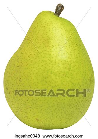 pear 18 View Large Photo Image Stock Photo - pear 18. Fotosearch