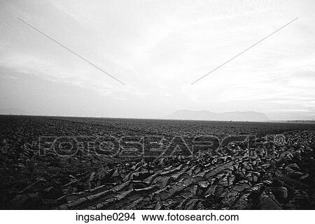 Plowed field View Large Photo Image Picture - Plowed field . Fotosearch