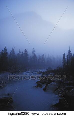 Stock Image - River and forest in mist . Fotosearch