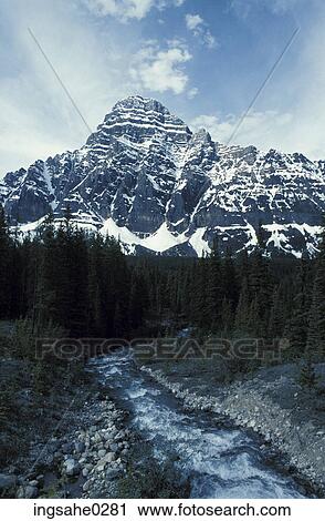 River and forest View Large Photo Image Stock Image - River and forest . Fotosearch