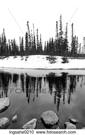River in Winter View Large Photo Image Stock Image - River in Winter . Fotosearch